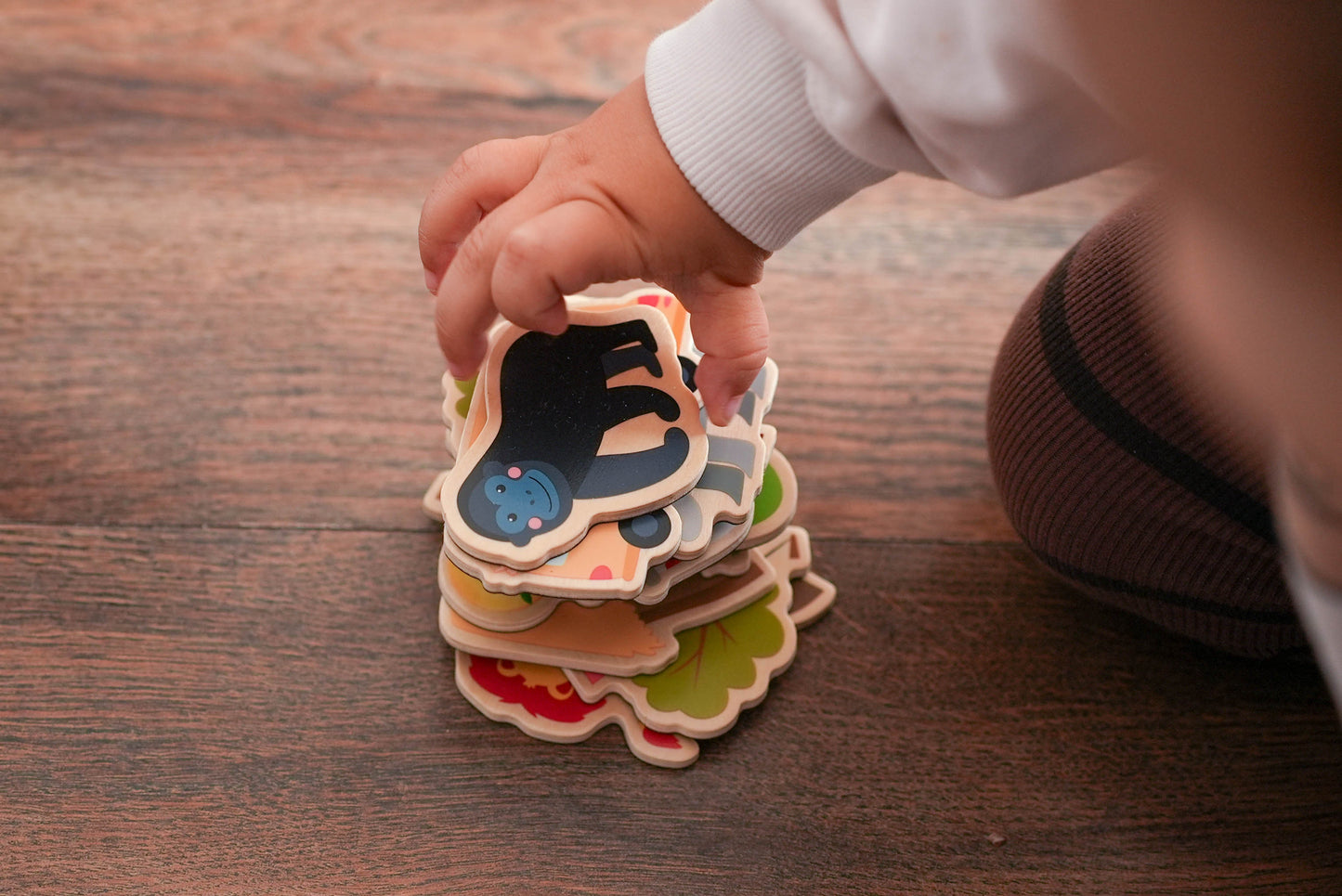 Kühlschrankmagnete: Safari